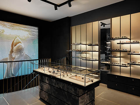 A modern eyewear store with sleek display shelves filled with glasses. A large shark image on the wall adds a dynamic contrast; neutral tones dominate.