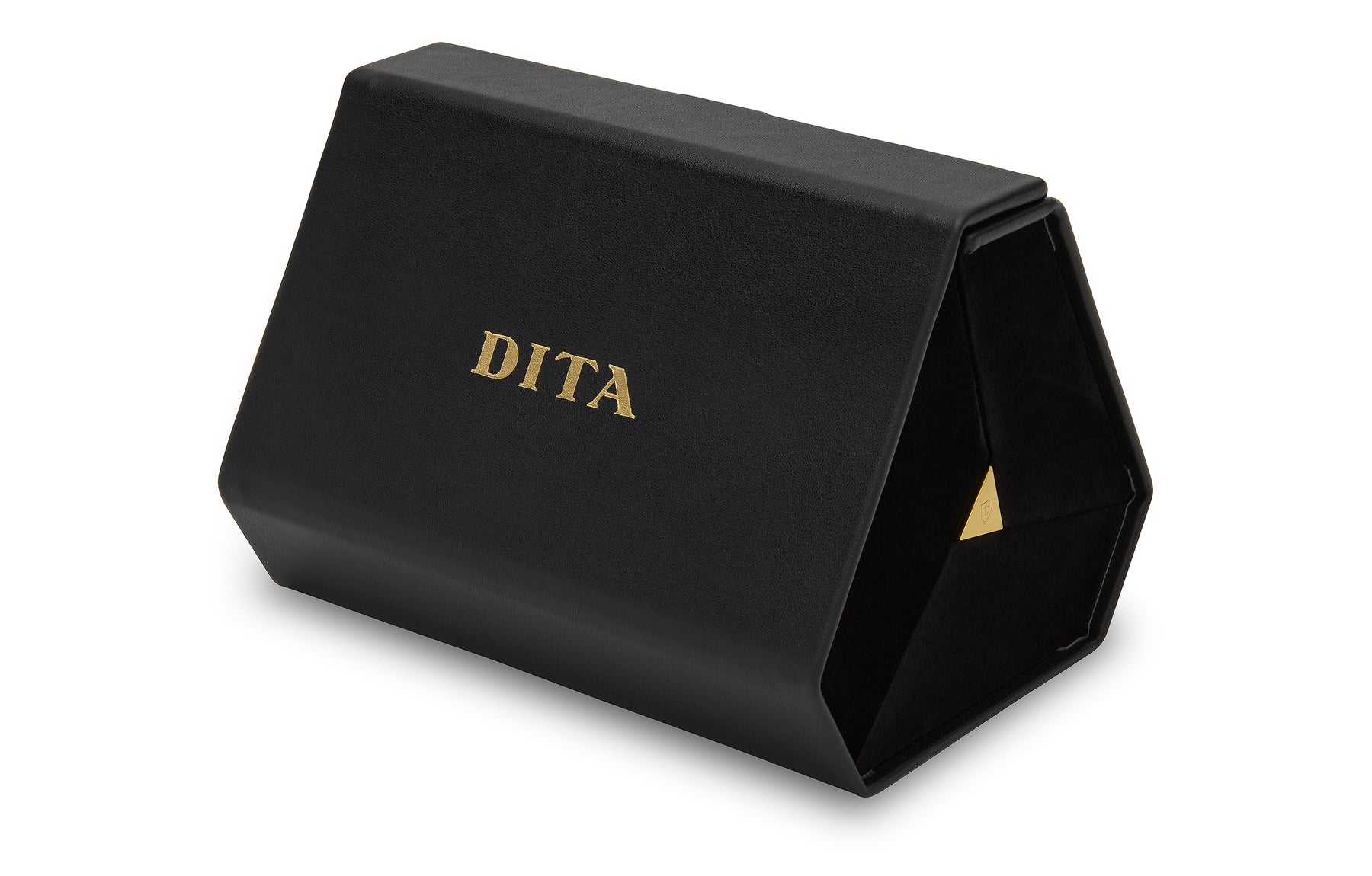 DITA 3-Frame Travel Case