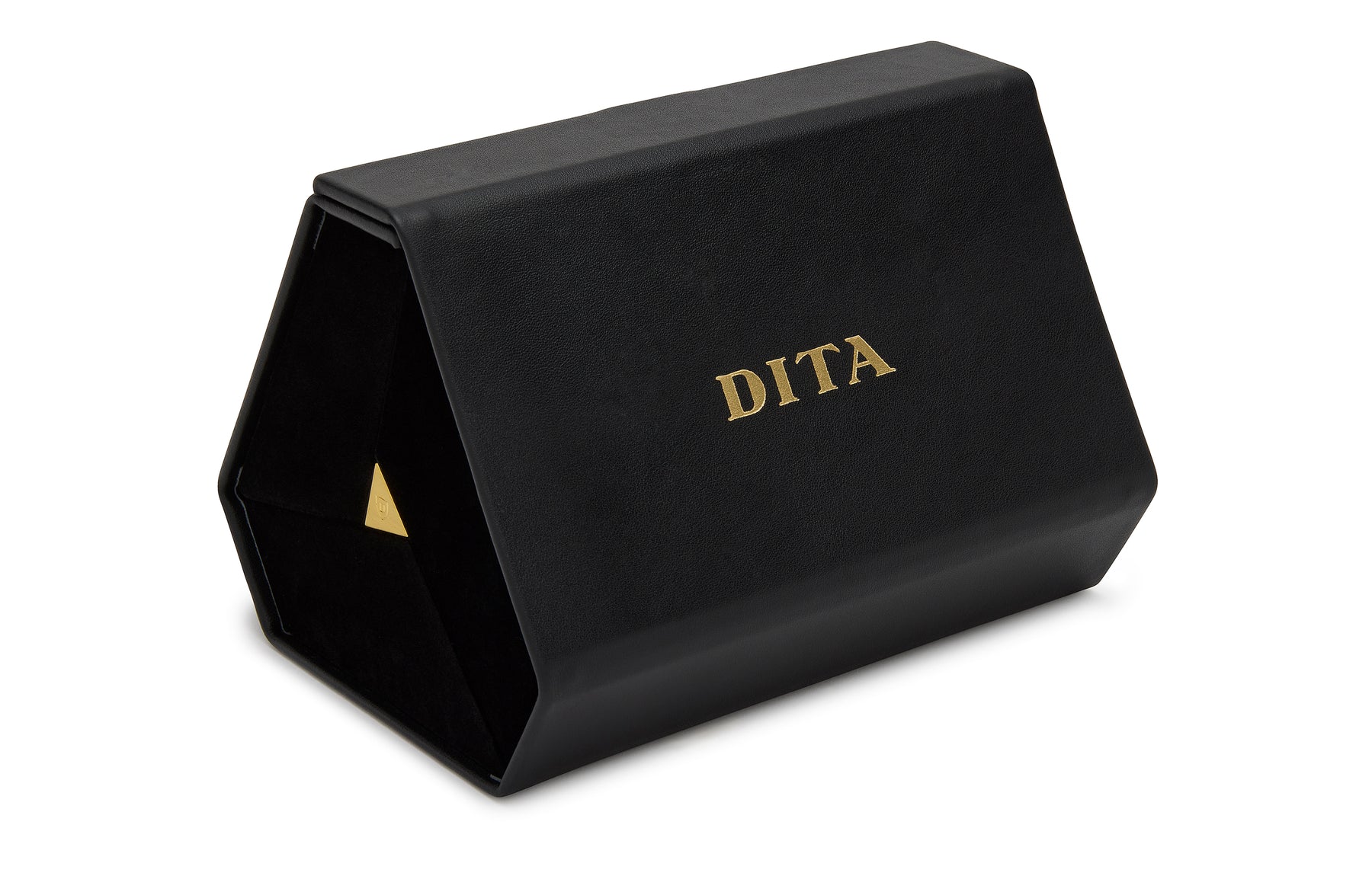 DITA 3-Frame Travel Case
