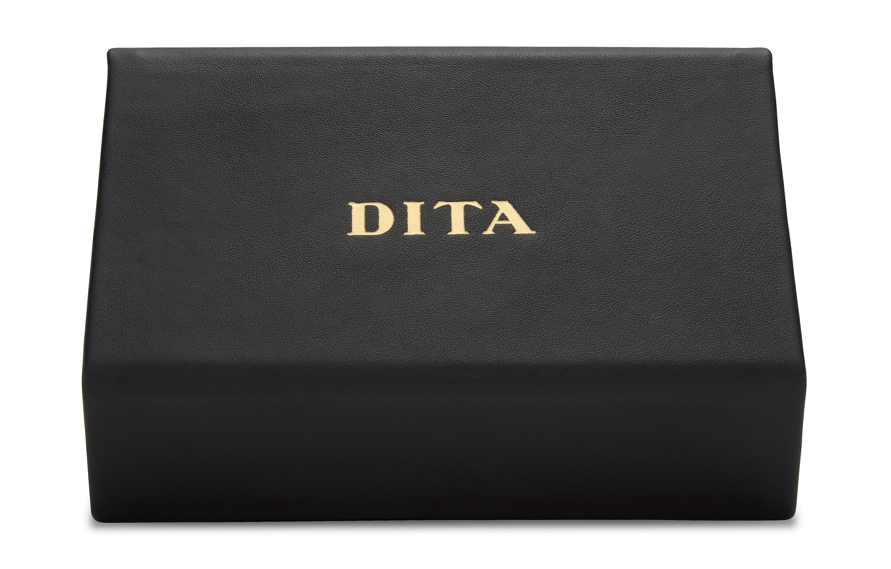DITA 3-Frame Travel Case