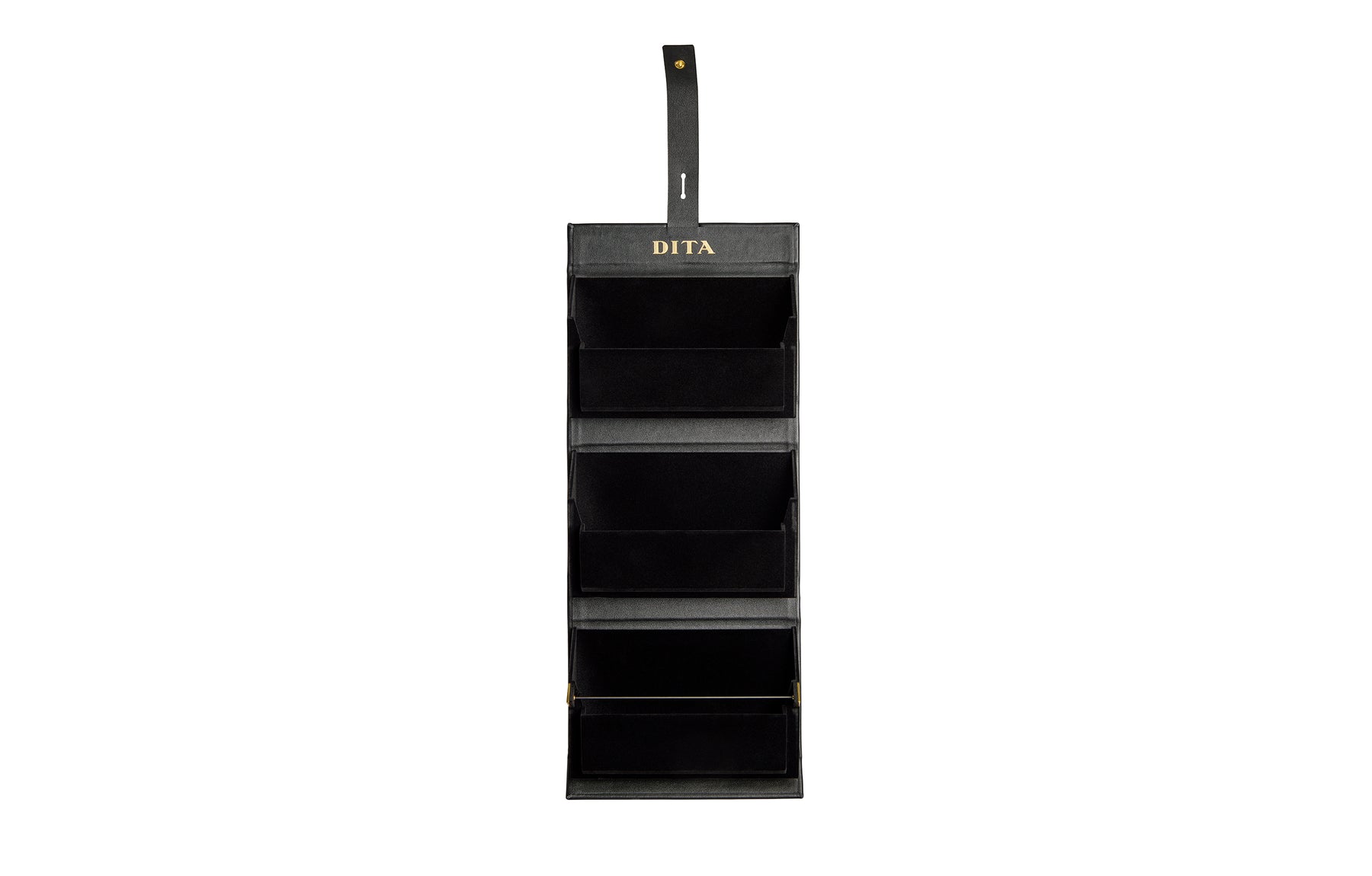 DITA 3-Frame Travel Case