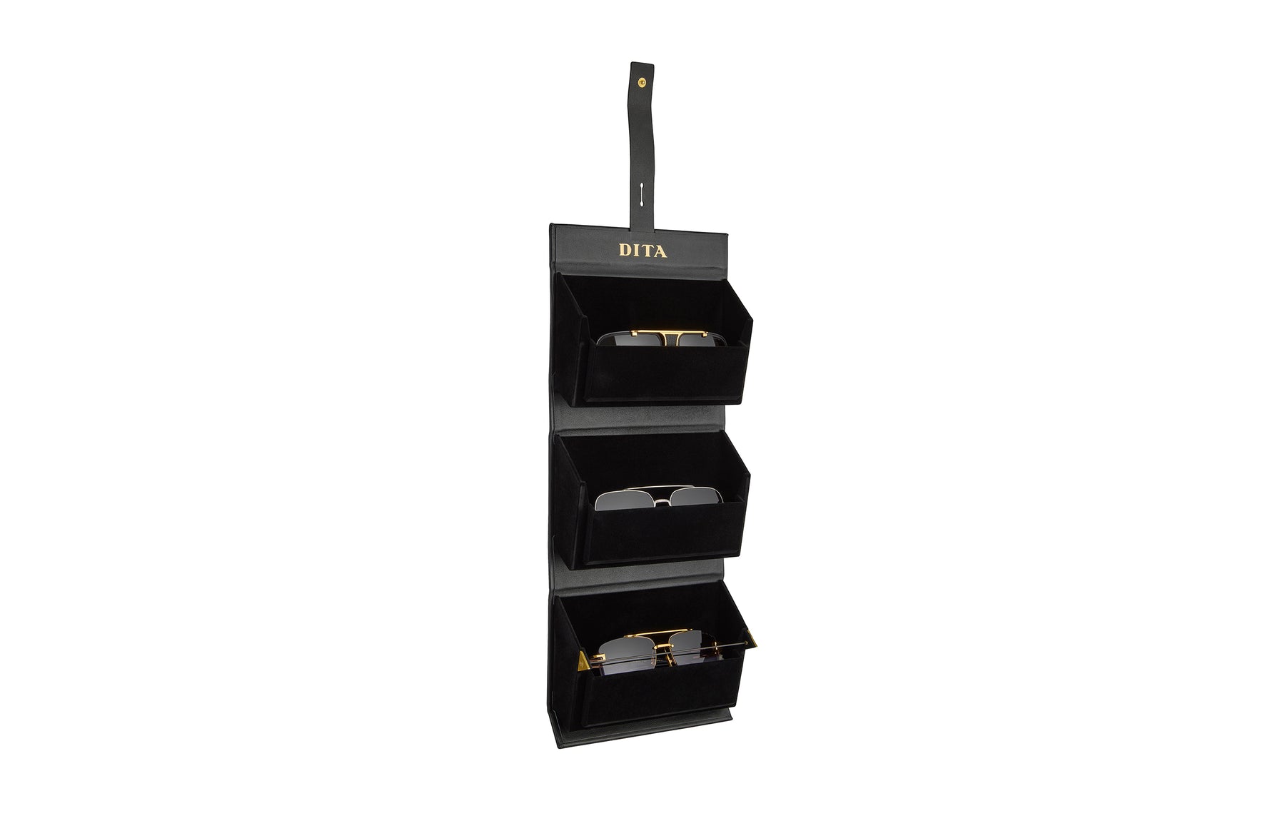 DITA 3-Frame Travel Case